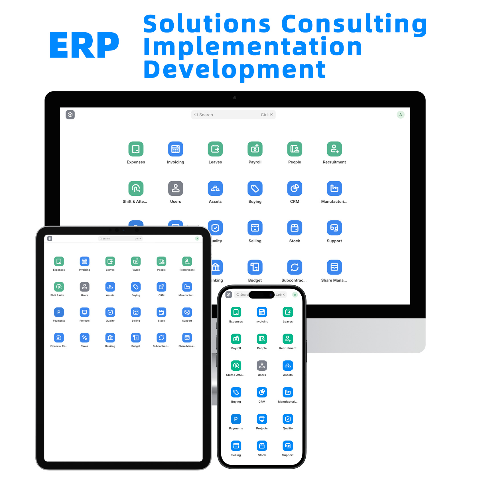ERP-Solution-Consultant